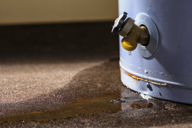 Best Flood restoration services  in Carlyle, IL