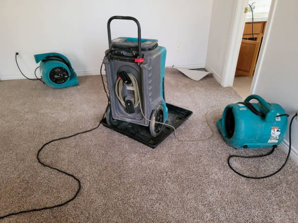 Best Basement water damage restoration  in Carlyle, IL