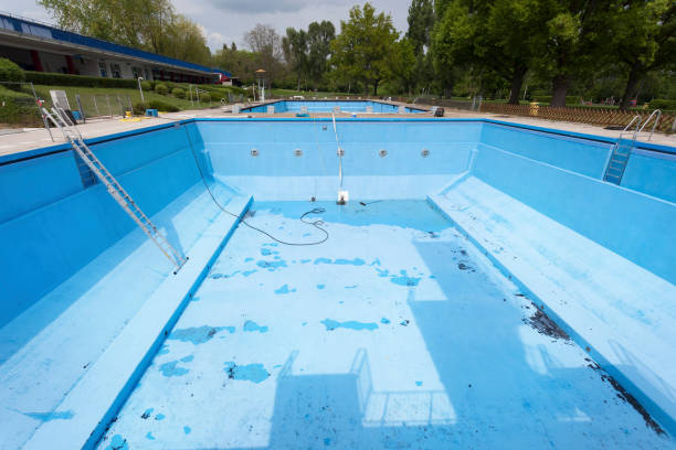 Best Flood damage cleanup  in Carlyle, IL