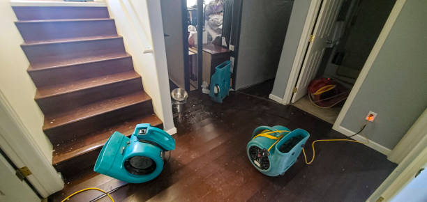 Best Local water damage restoration  in Carlyle, IL