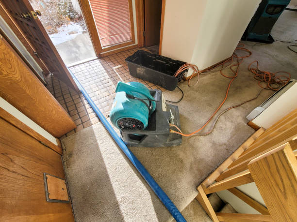  Carlyle, IL Water damage restoration Pros