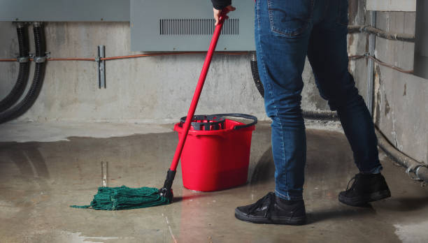 Trusted Carlyle, IL Water damage restoration Experts