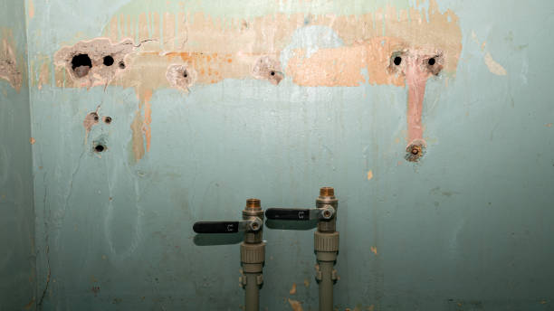 Best Flooded house restoration  in Carlyle, IL