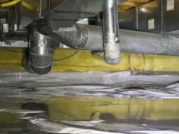 Best Carpet water damage restoration  in Carlyle, IL