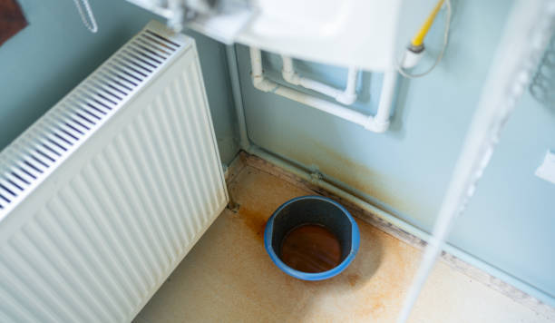 Best Water damage restoration specialists  in Carlyle, IL