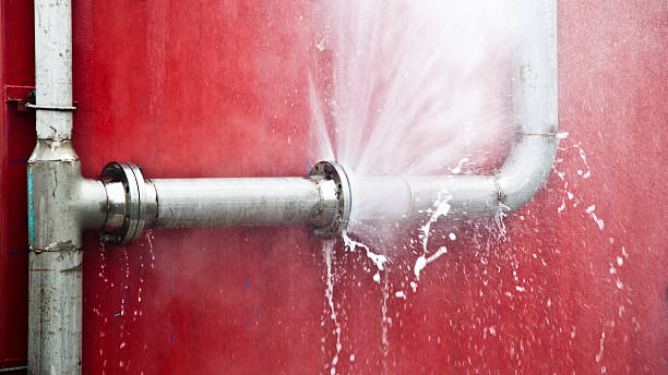 Best Sewage cleanup and water damage restoration  in Carlyle, IL